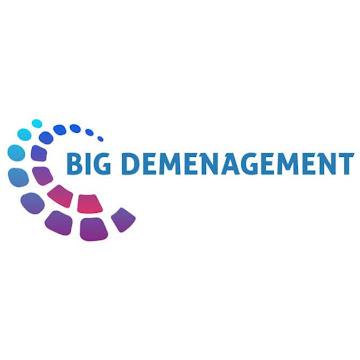 Big Demenagement